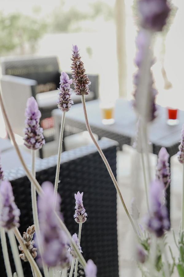 The Olive House Nea Peramos (Macedonia) Exterior foto